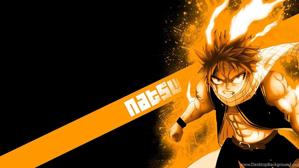 Fairy Tail Natsu (