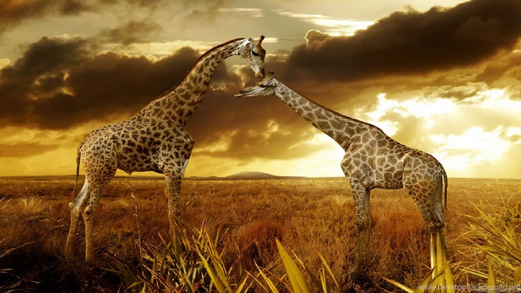 Nature Wallpapers HD Desktop Backgrounds Page 40