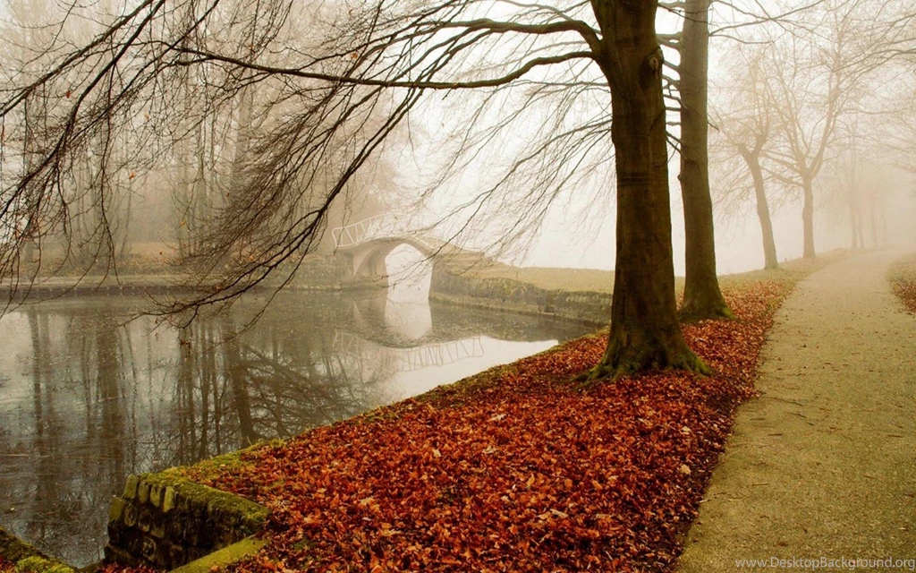 Best Autumn Photo PC Desktop wallpapers picture HD collection 20 ...