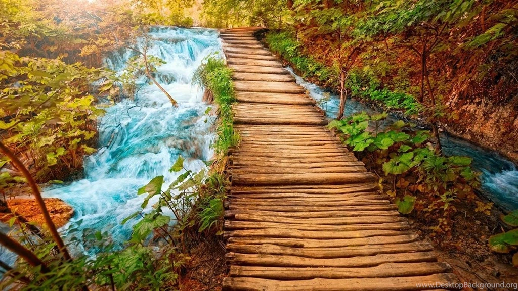 Sceneries For Desktop Wallpapers