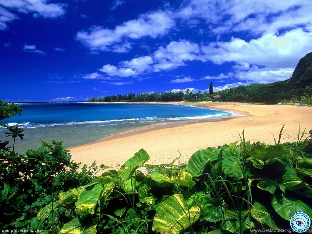 View Beautiful Scenery Picture Wallpapers In 1600x1200 Resolution