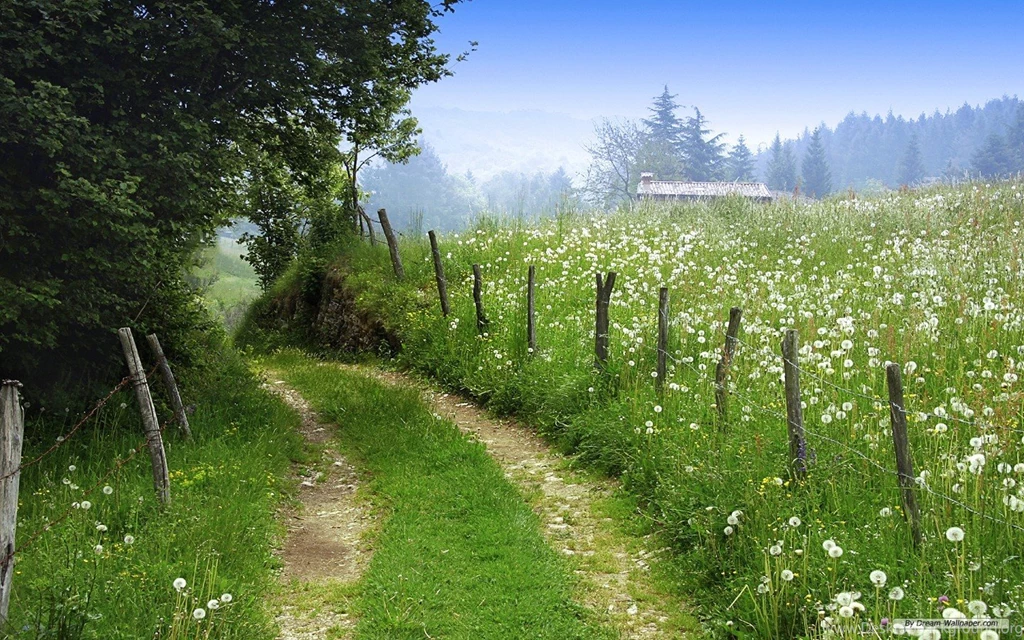 free wallpapers free nature wallpapers microsoft footpaths