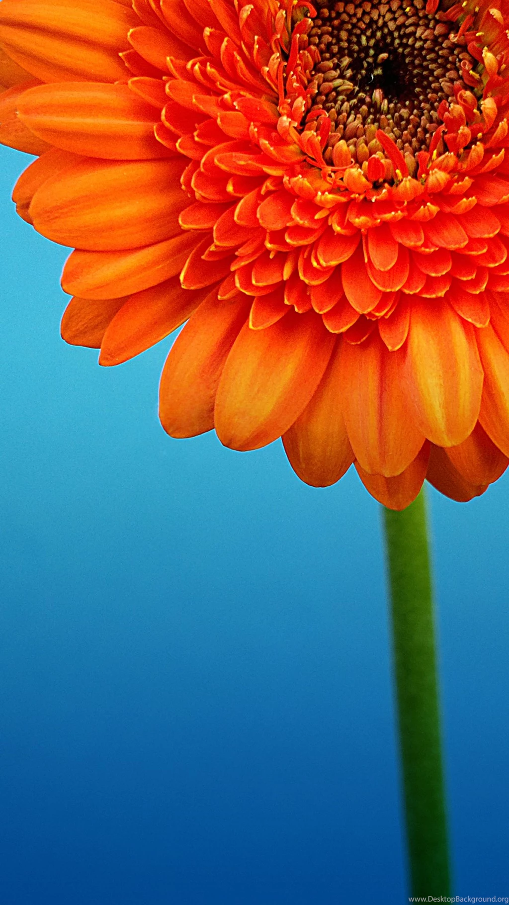 Full HD Nokia Lumia 1520 Wallpapers