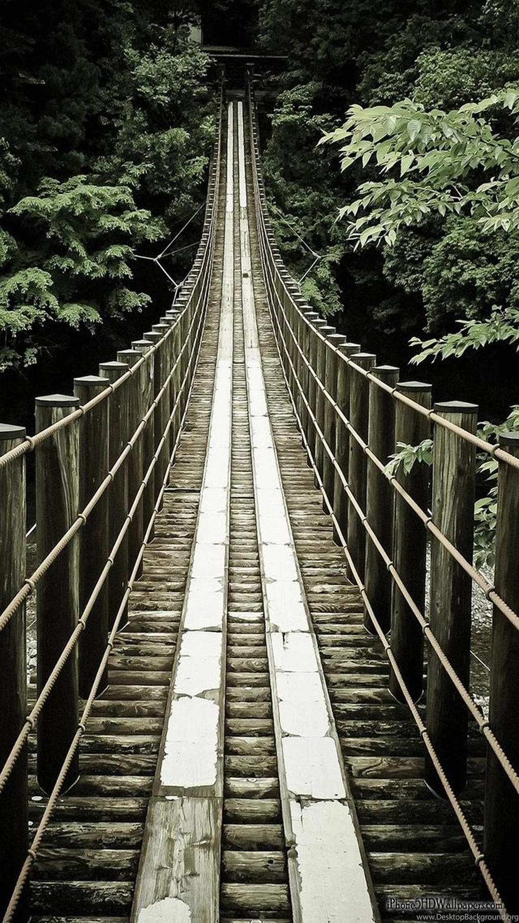 Wallpapers Full Hd 1080 X 1920 Smartphone Cute Kitty   1080 X 1920 ...