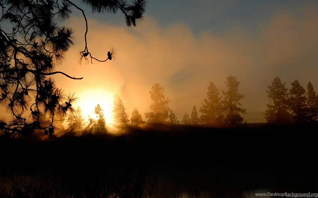 Hd Wallpapers Widescreen 24860