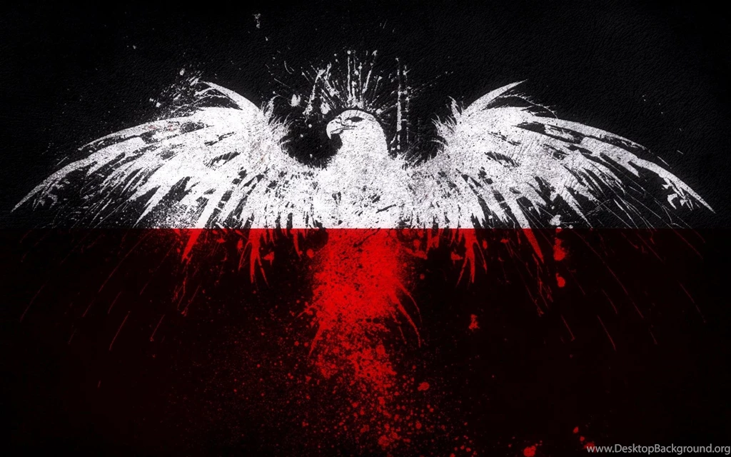 Eagle Flag Wallpapers 1920x1200 (