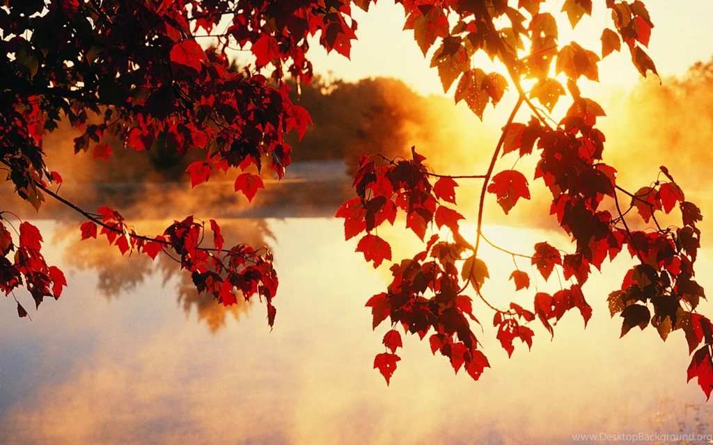 Autumn