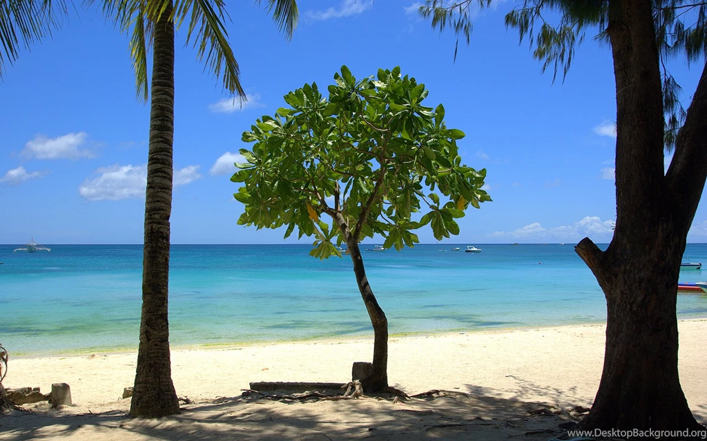 Tropical Beaches Wallpaper, Tropical Island Sceneries, Tropical ...