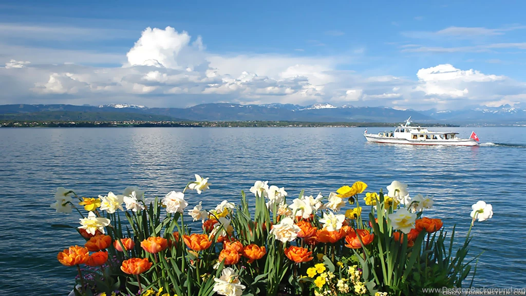 Spring Lake Wallpapers   Crazy Frankenstein