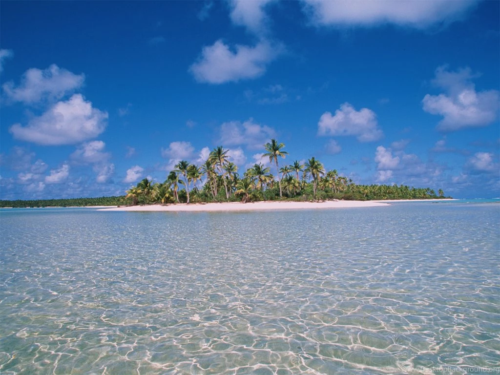 Free Screensavers And Wallpapers   7Screensavers.com