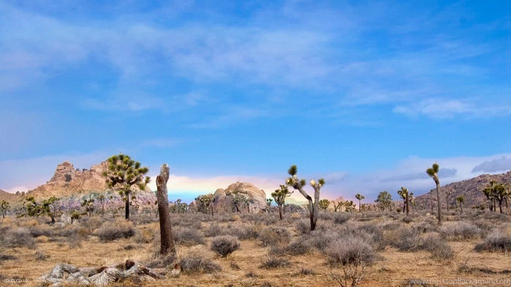 Joshua Tree National Park Desktop Wallpapers