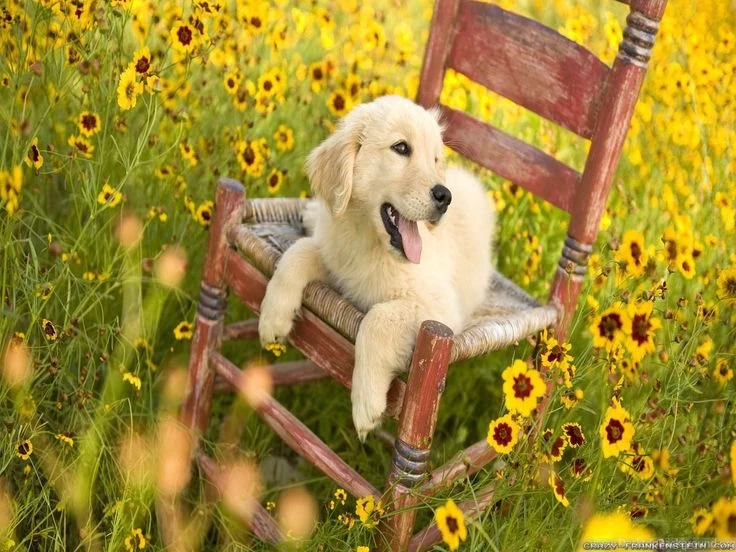 Pictures Of Spring Time