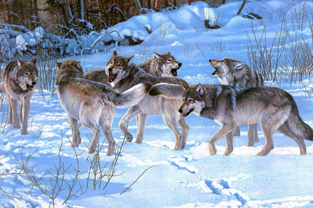 Animal Wallpapers, Wild Animal Wallpapers, Animal Kingdom, Cute ...