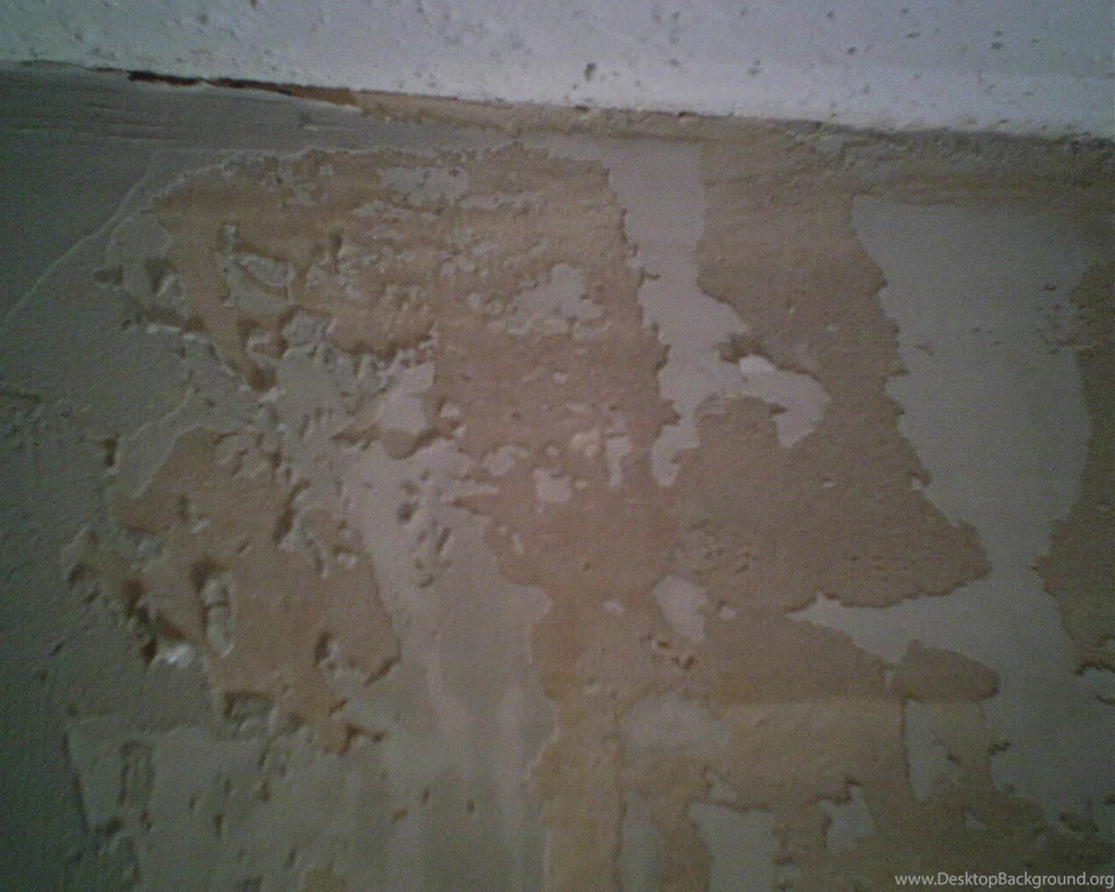 Joint Compound Desktop Background