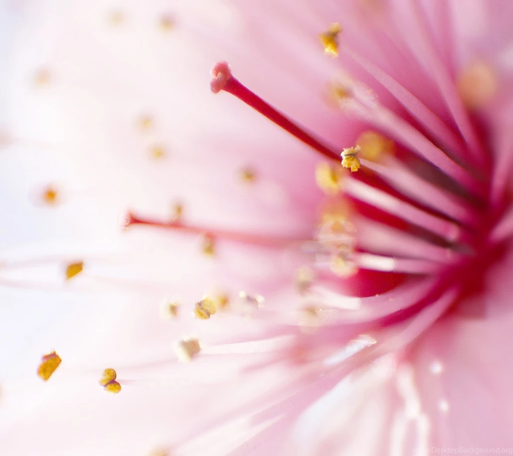 Free Wallpapers For Samsung Galaxy S3 Mini   Related To Samsung ...