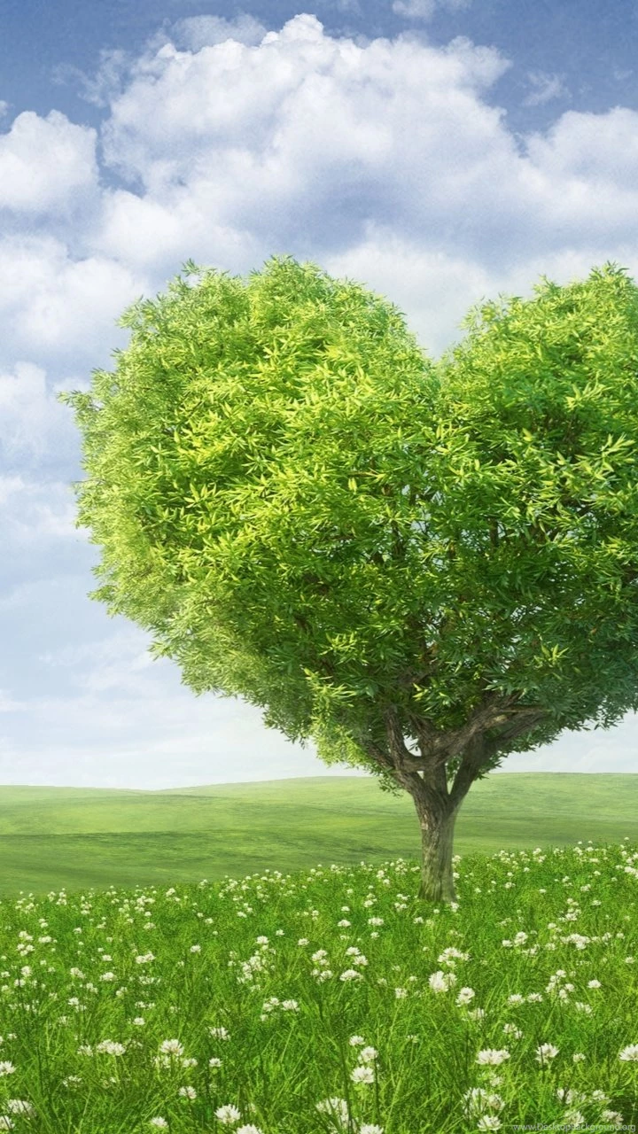 Love TreeSamsung Wallpapers Download