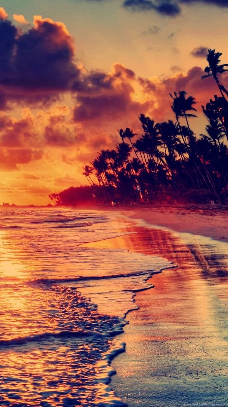 Download Sunset Iphone Wallpapers Desktop
