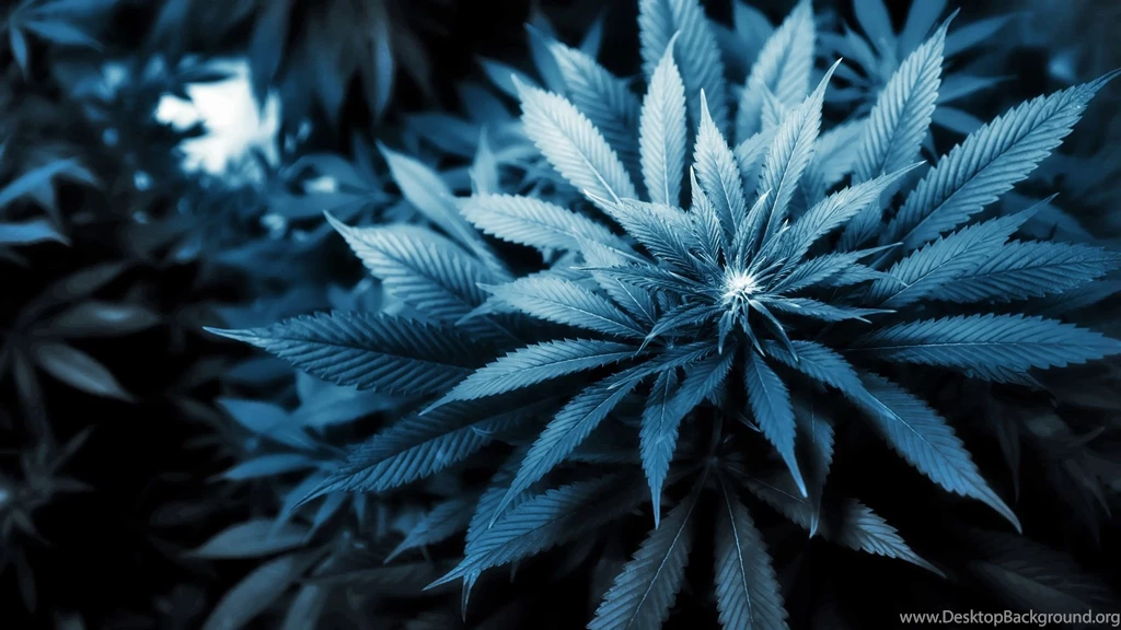 Weed Wallpapers Desktop Wallpapers Cave