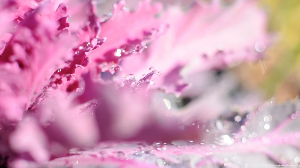 Sparkling HD Desktop Wallpapers : High Definition : Fullscreen : Mobile