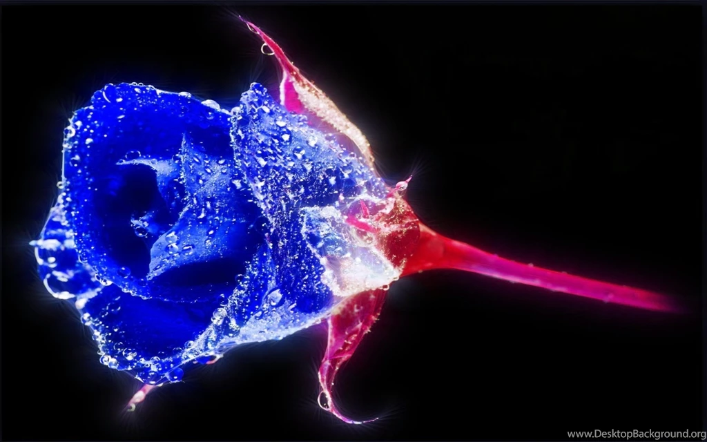 Crystal Blue Rose, Abstract, Sparkly, Sparkling, 1920x1200 HD ...