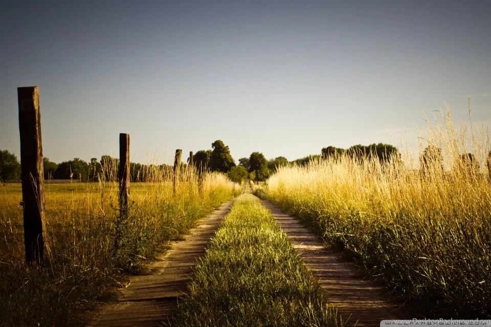 Country Road, Late Summer HD Desktop Wallpapers : High Definition ...