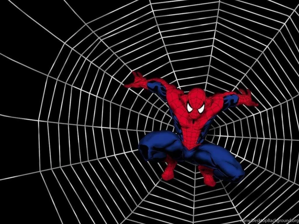 Spiderman Cartoon HD Backgrounds Wallpapers 11438 HD Wallpapers Site