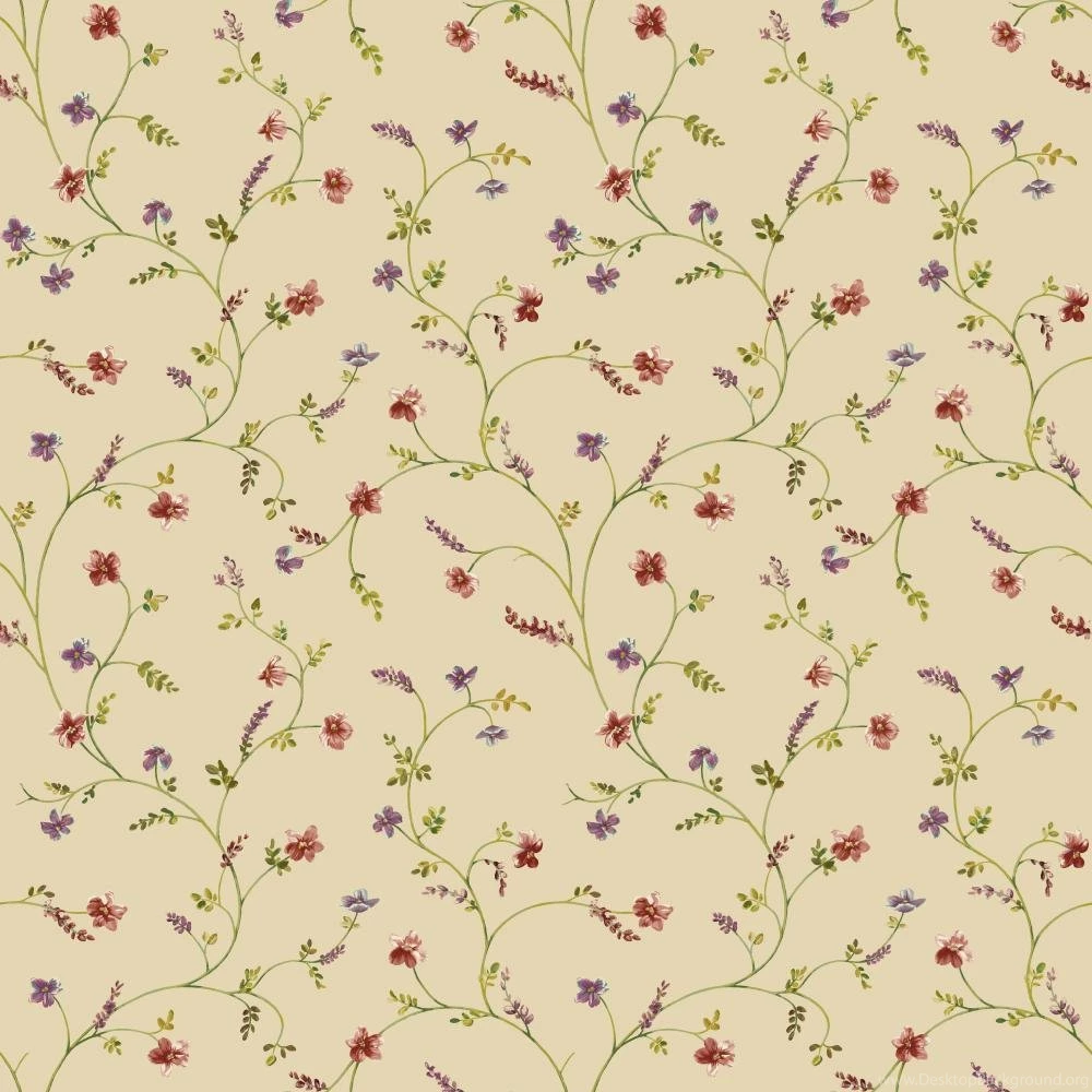 My Wallpapers Border   Kitchen Wallpapers Border   Wall Murals Wallpapers