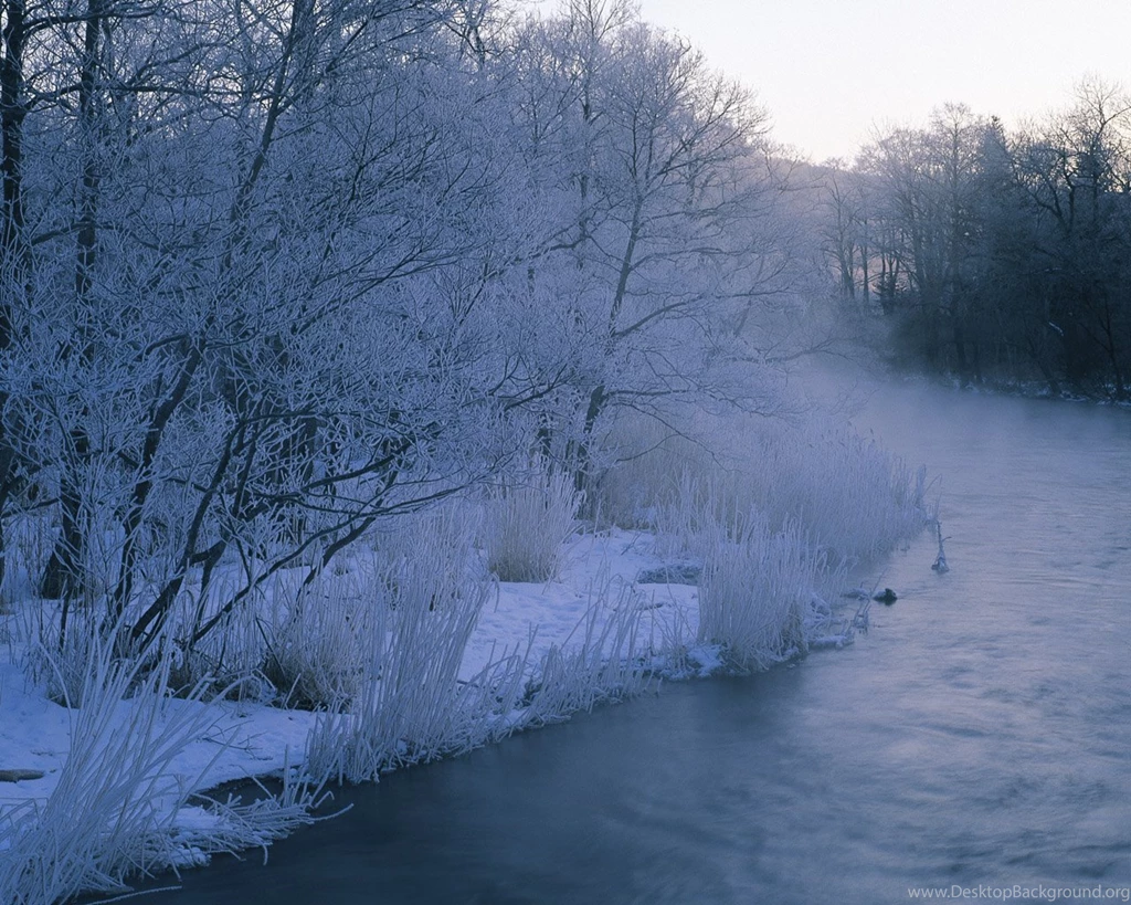 1280*1024 Snow Winter Scene   Snow Covered Trees & Branches ...