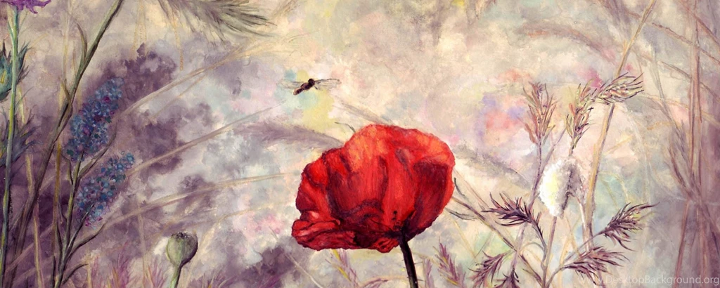 Download Wallpapers 2560x1024 Poppy, Flower, Stem, Pattern Dual ...