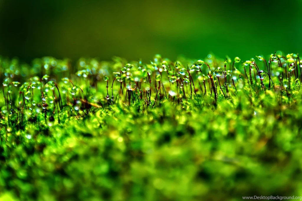 Best Mobile Wallpapers In HD, Smartphone & Tablet Wallpapers 2014