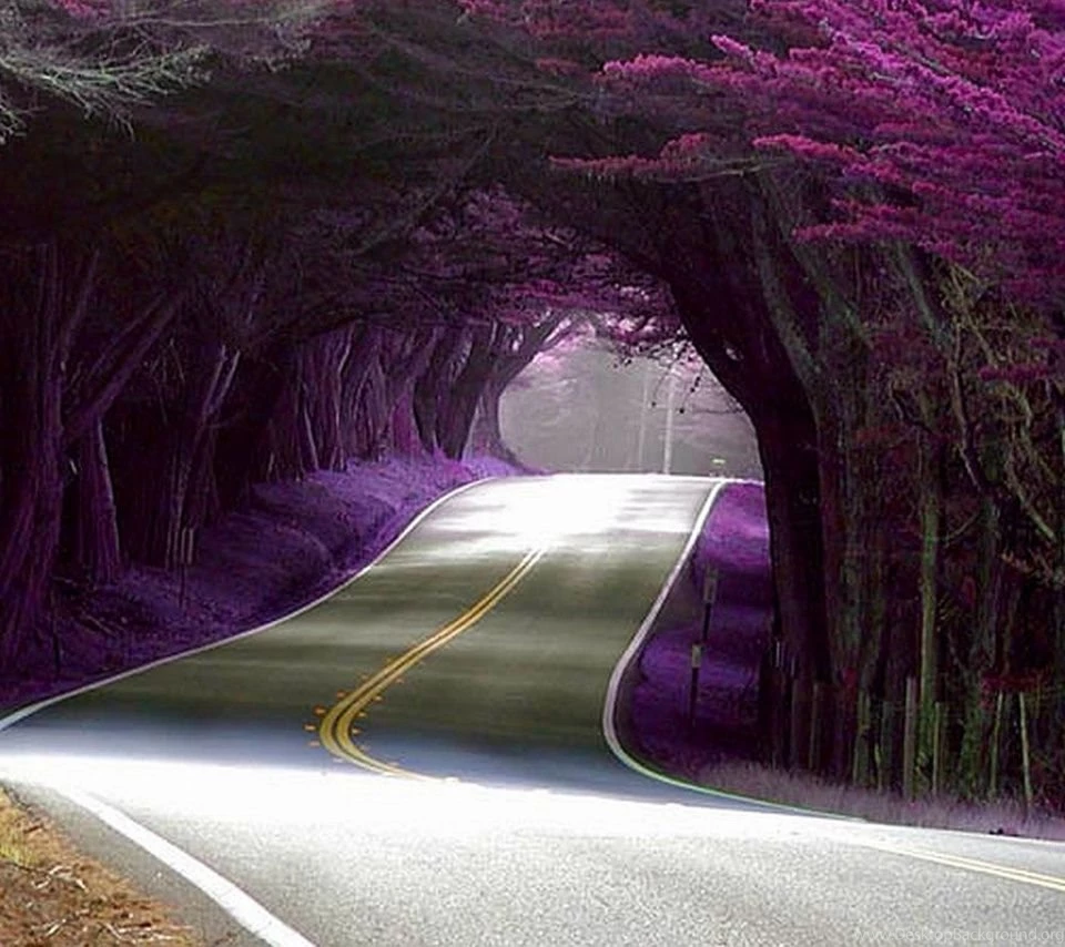 Mobile Wallpapers Hd Download HD Wallpapers Lovely