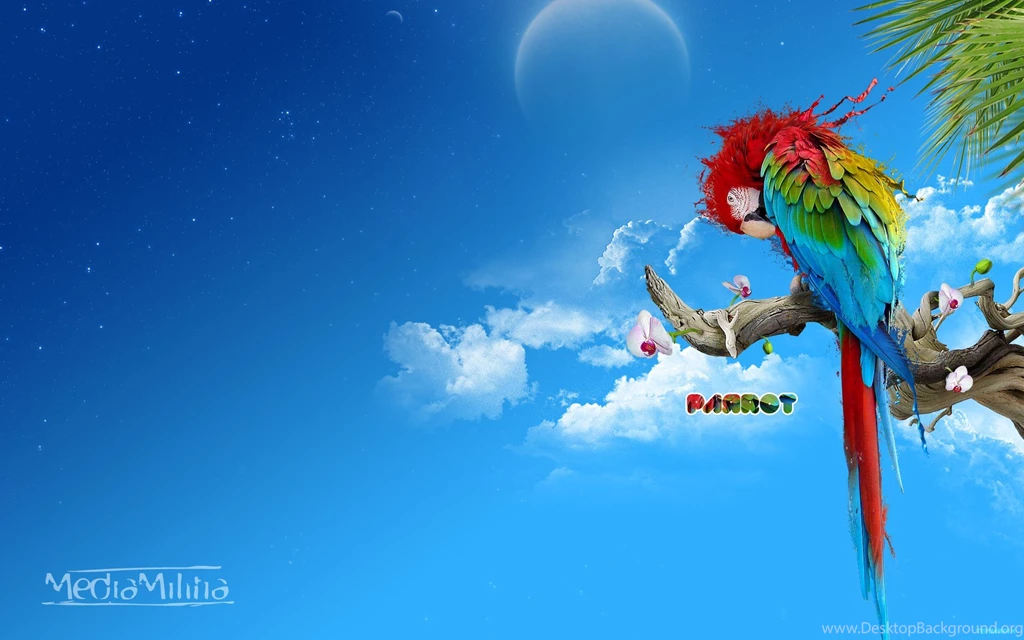 FWA Theme Design Wallpapers 28778 Creative Design Classic Design