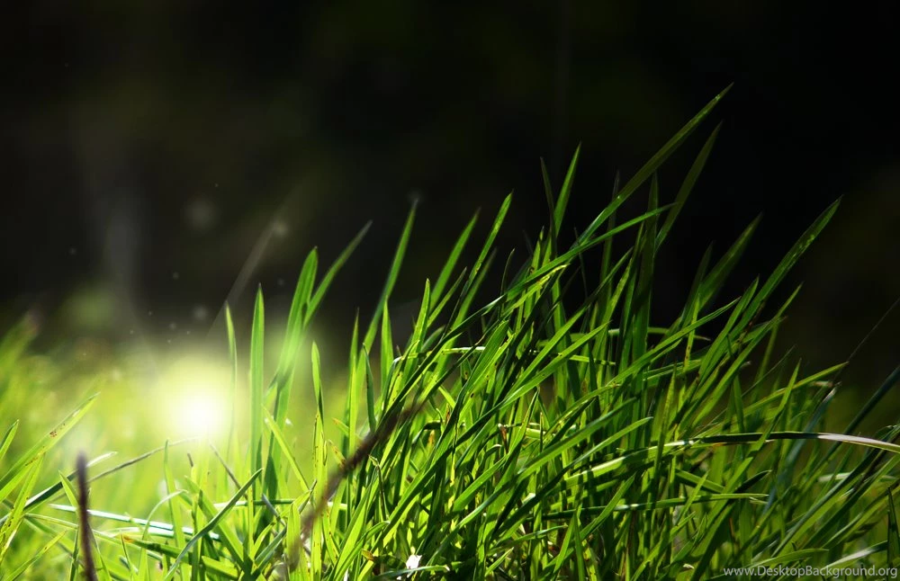 Classic Design Wallpapers 27105   Classic Design Material   Classic ...