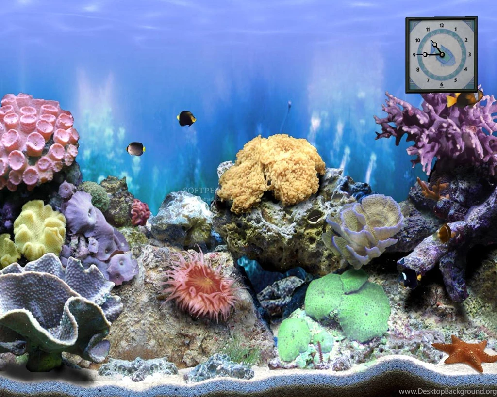 Animated Screen Savers HD Wallpapers Lovely