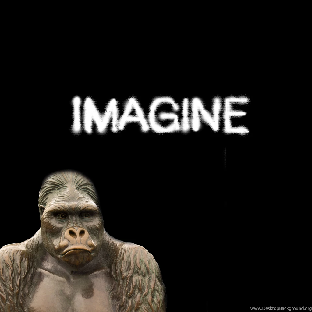 The Gallery For > Imaginary Foundation Albert Einstein