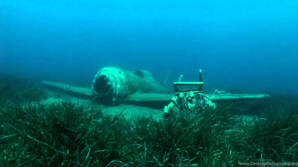 Wreck Plane P47 Thunderbolt .mpg YouTube