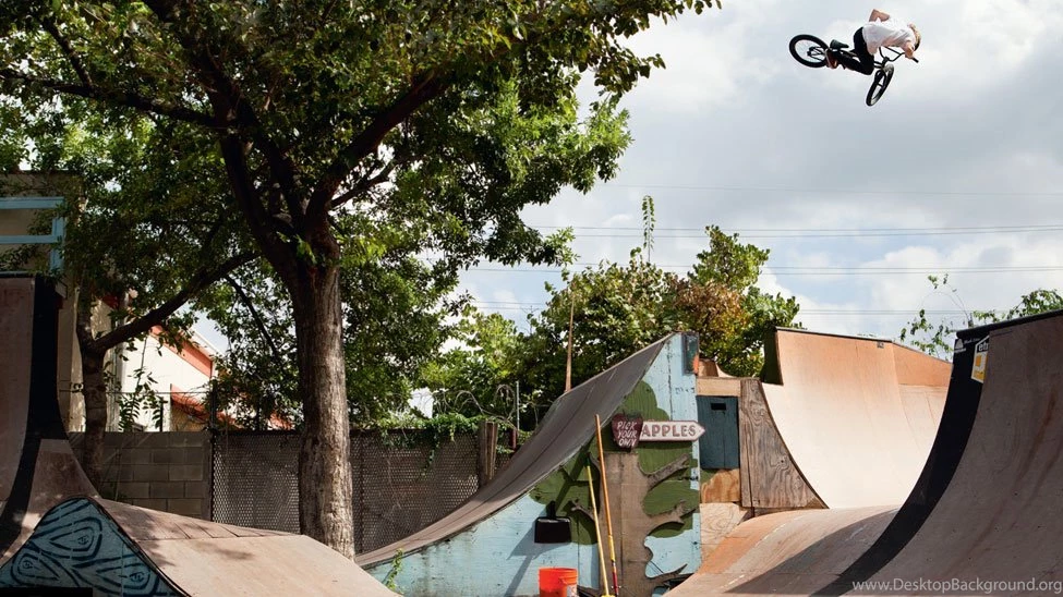DUGAN'S DIG WALLPAPER Fitbikeco.
