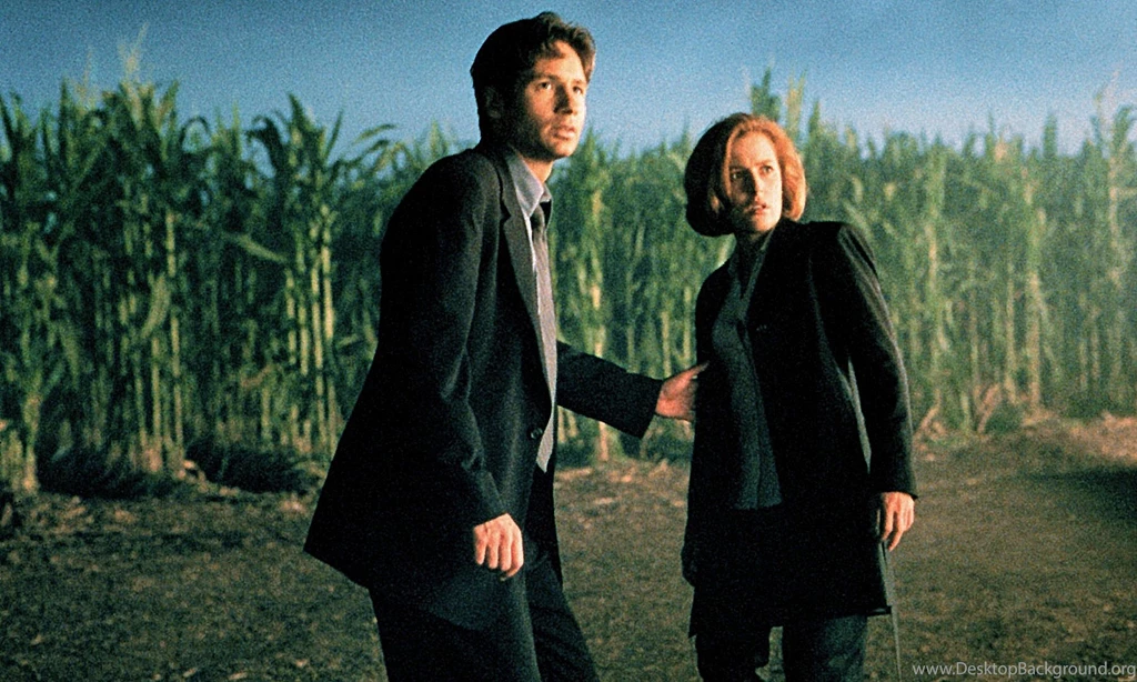 THE X FILES Sci fi Mystery Drama Television Files Series Wallpapers ...