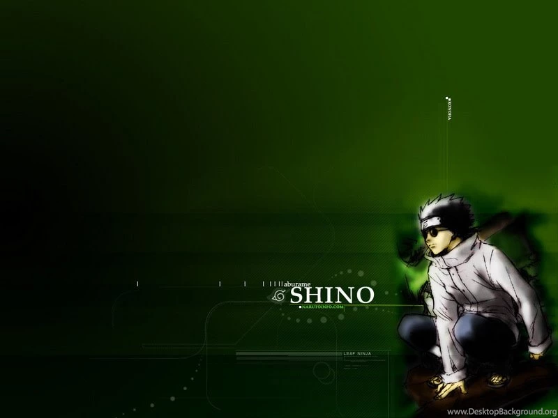 Shino Wallpapers   Shino Aburame Wallpapers (15735773)   Fanpop