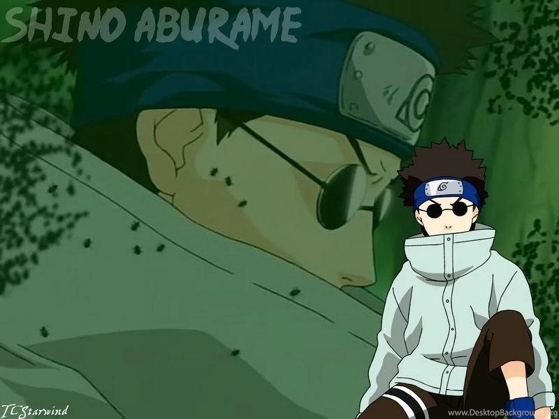 Shino Wallpapers Shino Aburame Wallpapers (15735766) Fanpop