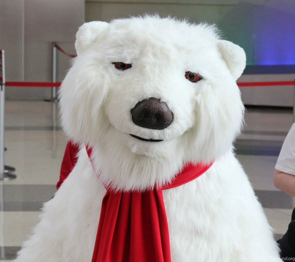 Coca Cola Polar Bear Bing Images