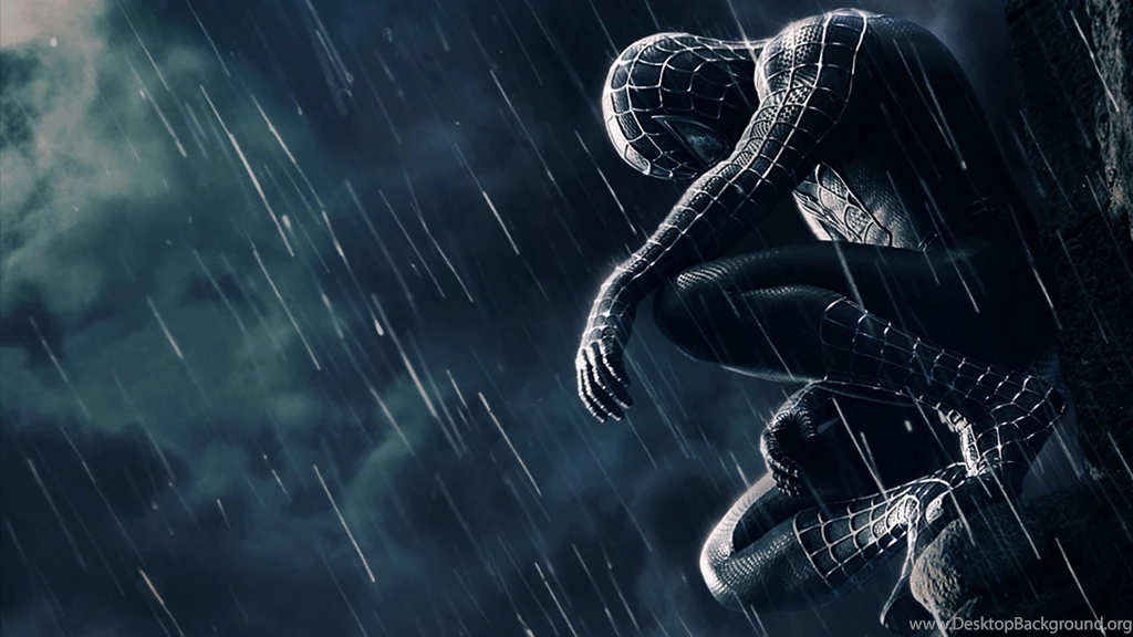 Pics, Facts, Funny Stuff About Animals & Nature Black Spiderman ...