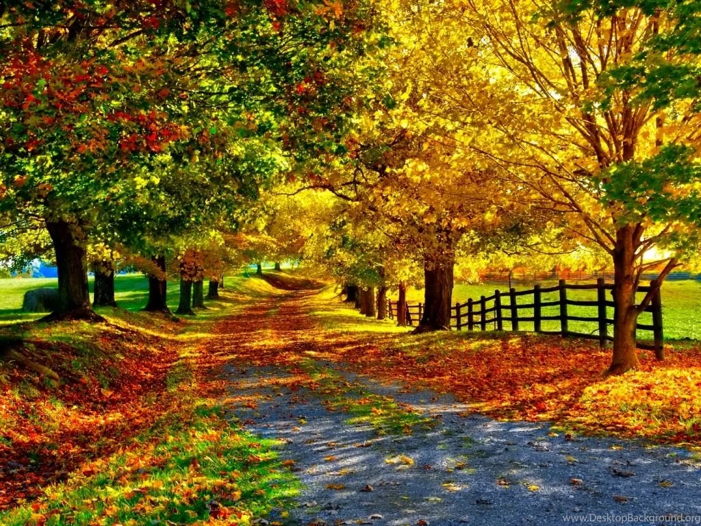 Fall Wallpaper Images Wallpapers Cave