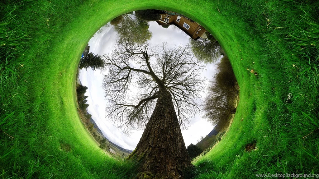 Under The Tree Wallpapers High Definition Ndemok.com