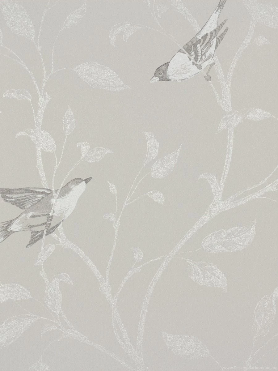 Wallpapers Rasch Tendresse 2015 Non woven Wallpapers 798920 Bird ...