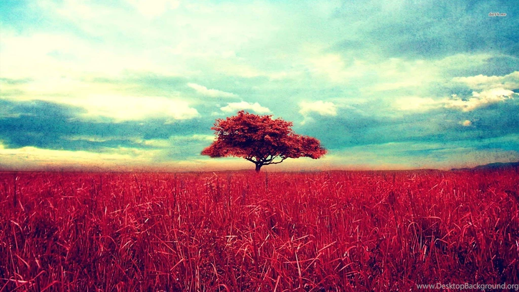 Red Tree Desktop Wallpapers