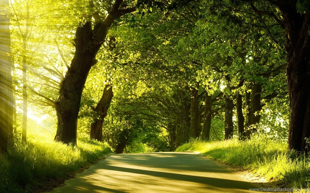 Path Computer Wallpapers, Desktop Backgrounds