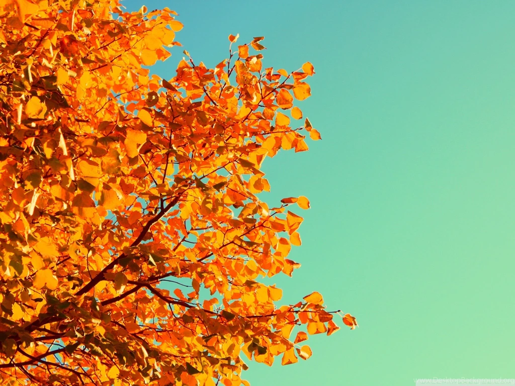 Vintage Fall Wallpapers