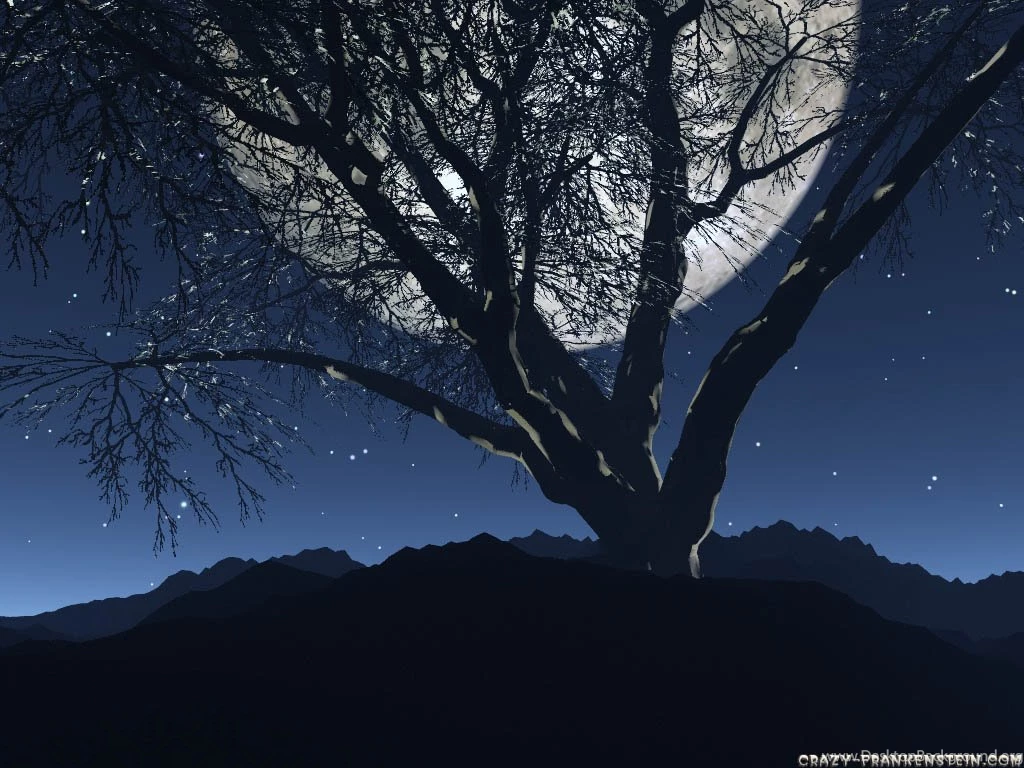 3D Landscape Wallpapers Crazy Frankenstein