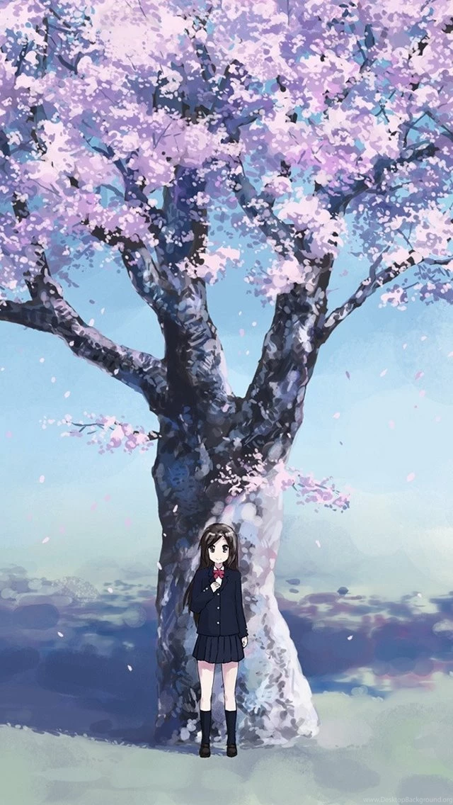 Cherry Blossom Wallpapers   640x1136